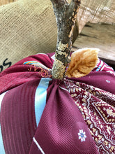 Load image into Gallery viewer, Posh Pumpkin Burgundy Vintage Men’s Ties